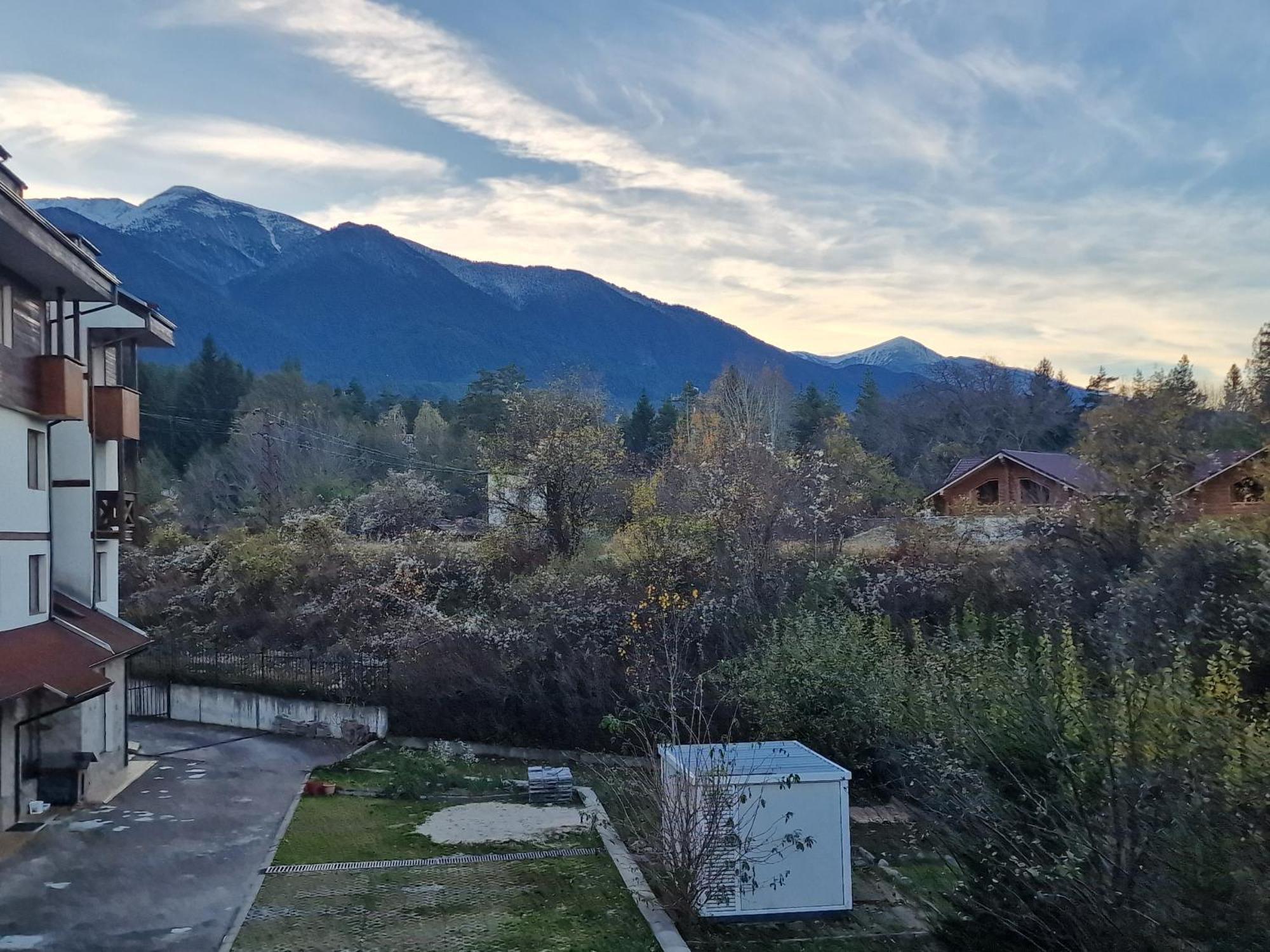 Vibes - Vesta Boutique Bansko